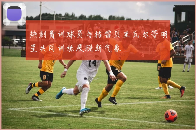 热刺青训球员与格雷贝里瓦尔等明星共同训练展现新气象